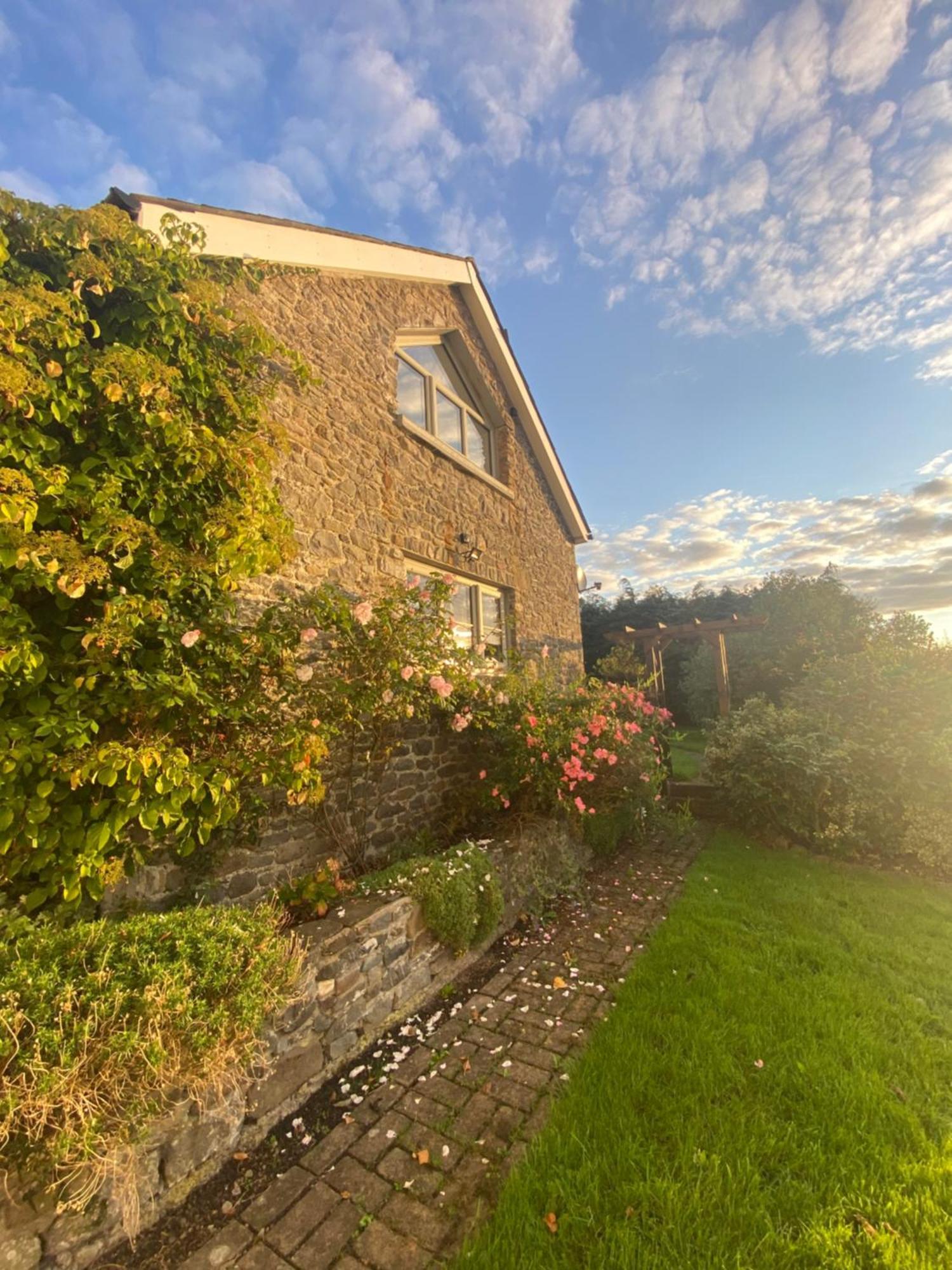 Pippin Lodge Llanwrda Dış mekan fotoğraf
