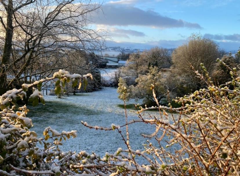 Pippin Lodge Llanwrda Dış mekan fotoğraf