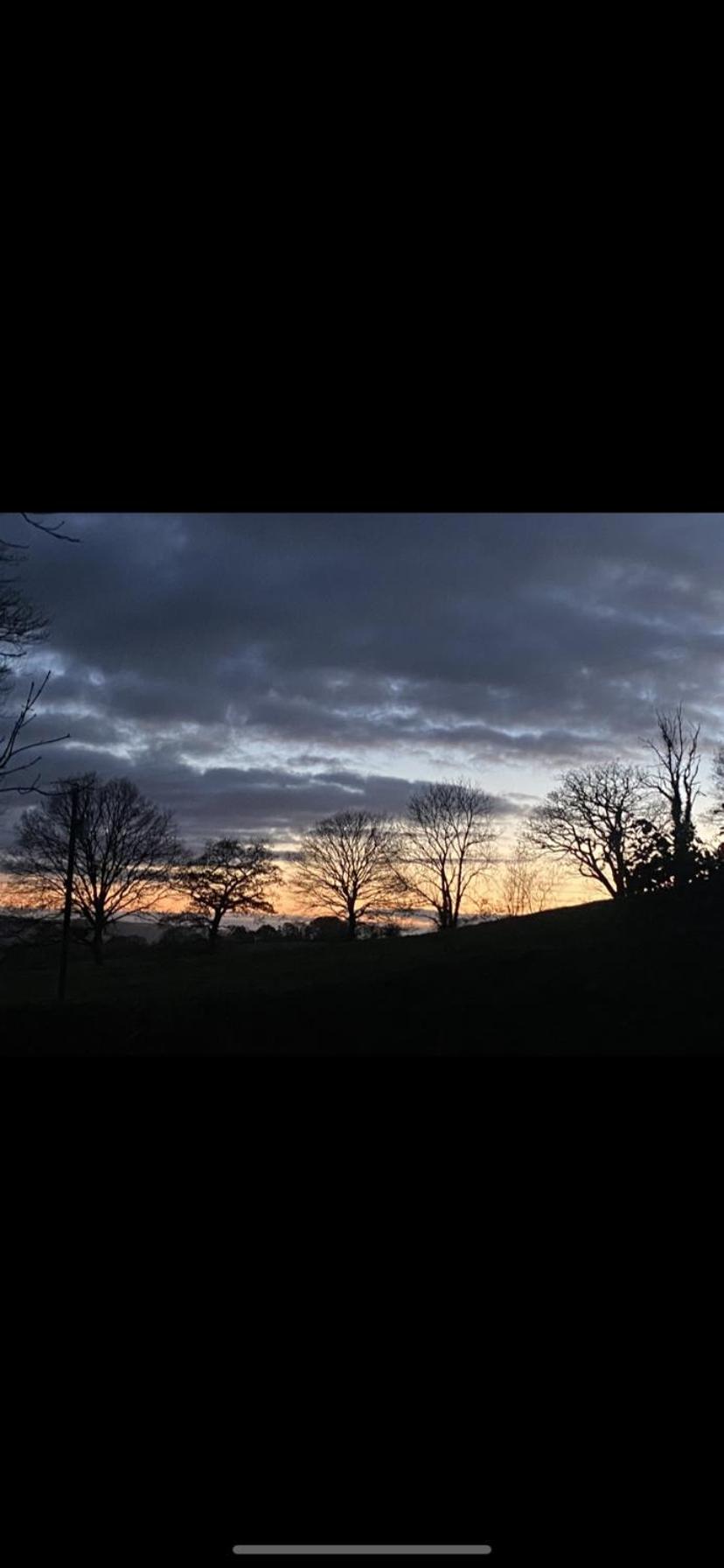 Pippin Lodge Llanwrda Dış mekan fotoğraf
