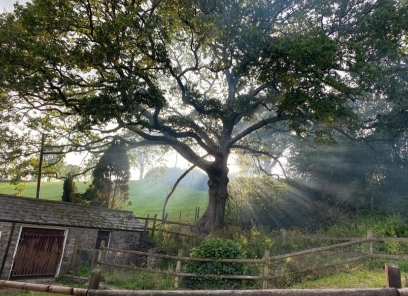 Pippin Lodge Llanwrda Dış mekan fotoğraf