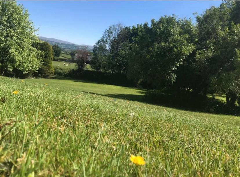 Pippin Lodge Llanwrda Dış mekan fotoğraf