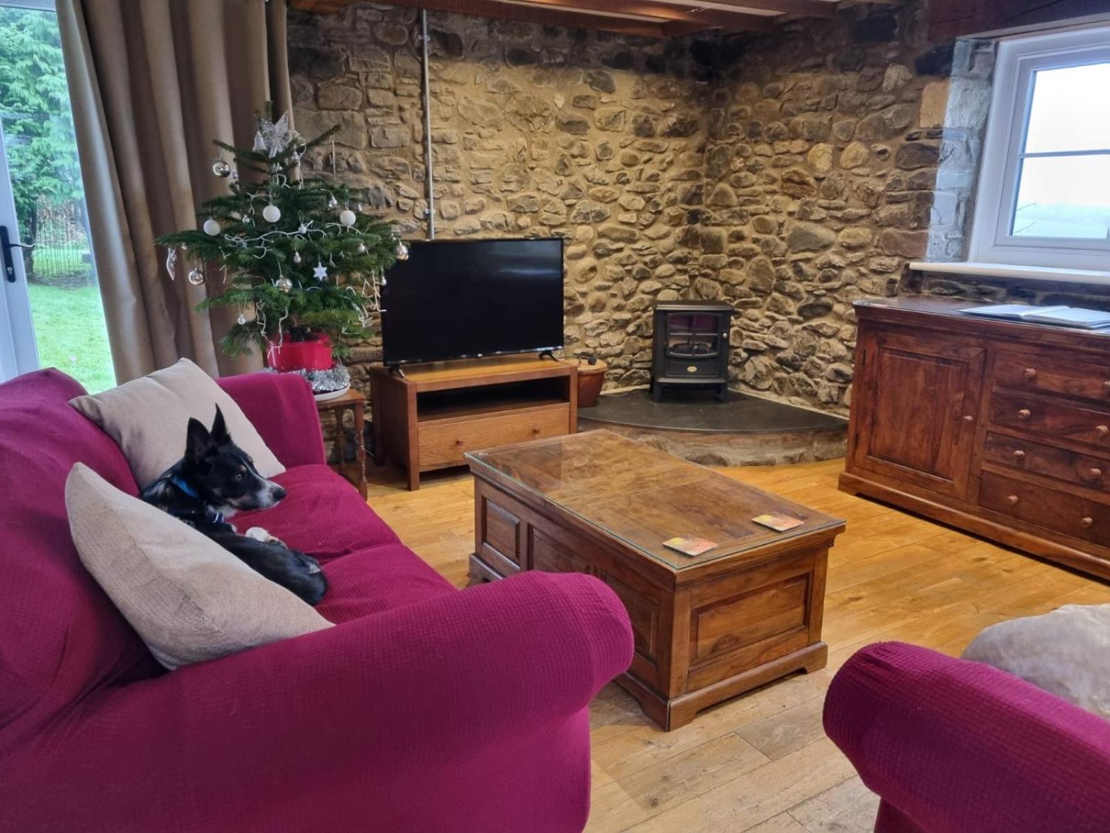 Pippin Lodge Llanwrda Dış mekan fotoğraf
